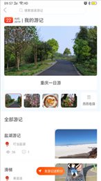 凤凰游