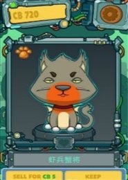养猫实验(Catum Lab)