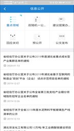 湖北经信