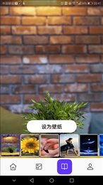 皮皮助手
