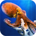 异形八爪鱼(Octopuzzle)