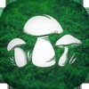 蘑菇猎人模拟器(Real Mushroom Hunting)v1.75