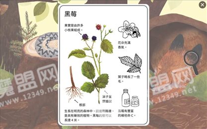 小棕鼠的自然生态百科(Little Mouses Encyclopedia)