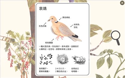 小棕鼠的自然生态百科(Little Mouses Encyclopedia)