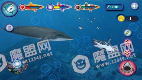 深海狂鲨2020
