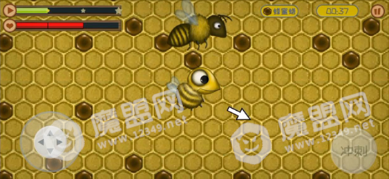 美味星球2贪吃蜜蜂
