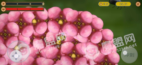 美味星球2贪吃蜜蜂