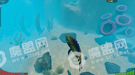 深海狂鲨2020