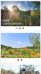 东郊森林公园
