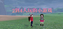 2到4人玩的小游戏