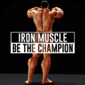 ironmuscle健美锻炼(Iron Muscle - Be the champion)