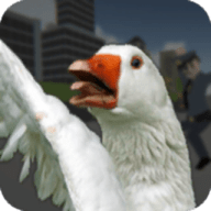 鹅市狂暴(Goose City Rampage)
