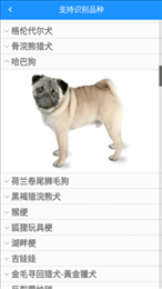 哈狗识别