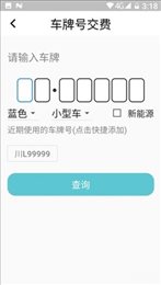 海螺停车