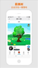 卓译通薪果