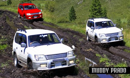 豪华越野普拉多驾驶模拟器(Offroad Prado Game)