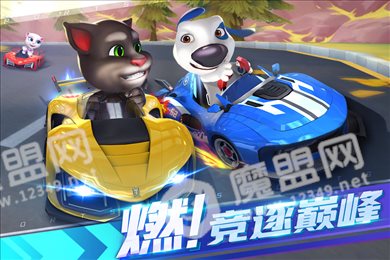 汤姆猫飞车