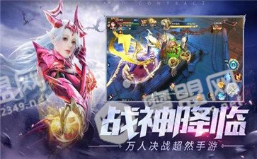 新神王大陆