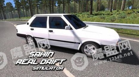 STS漂移模拟器(Sahin Tofask Shift Drift Simulat)