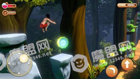 儿童丛林探险(Kids Jungle Adventure)