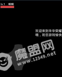 华华荣耀