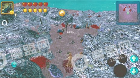 模拟皮皮虾传奇ios版