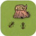 蚂蚁的领地(ants)