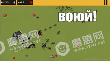 蚂蚁的领地(ants)