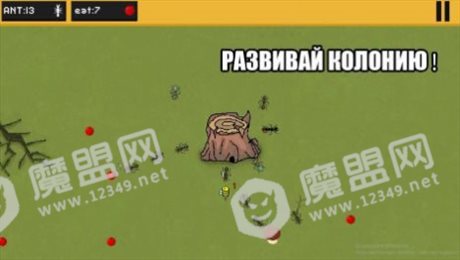 蚂蚁的领地(ants)