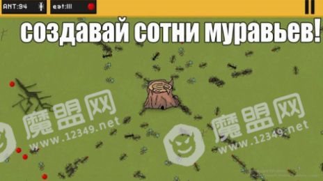 蚂蚁的领地(ants)