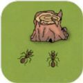蚂蚁领地(ants)