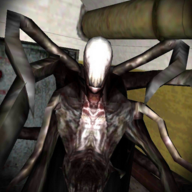 瘦长鬼影(Slenderman Must Die Chapter 5)