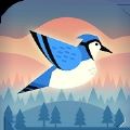 有弹性的鸟(Bouncy Bird)v1.0.0