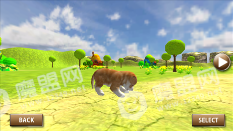 神奇宠物迷宫模拟器(Amazing Pets Maze Simulator)