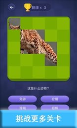 猜图宝