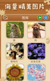 拼图寻宝红包版
