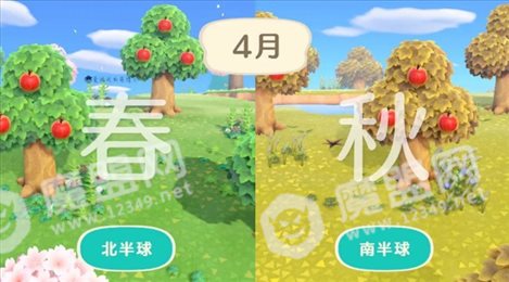 动物森友会2021(Pocket Camp)