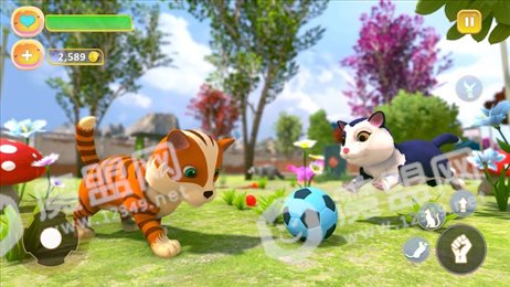 可爱的小猫模拟器(Cute Kitten Simulating Game)