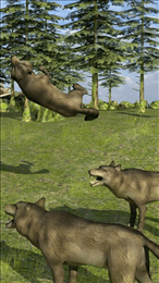 野生动物生活模拟