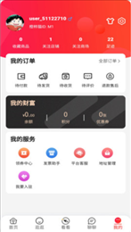 橙柿猫