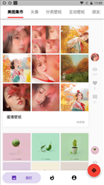 蛋播壁纸