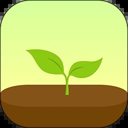 forest专注森林