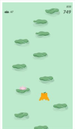 你好哇蛙(Hello Froggy!)