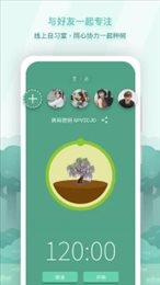 forest专注森林
