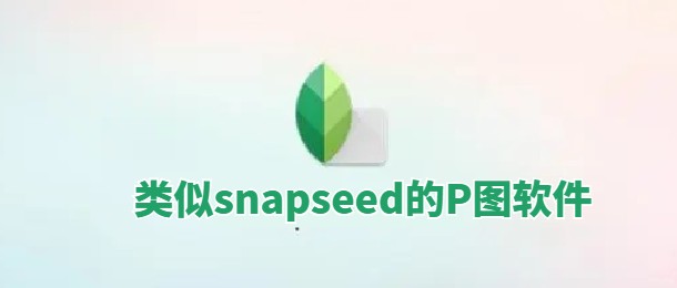 类似snapseed的P图软件