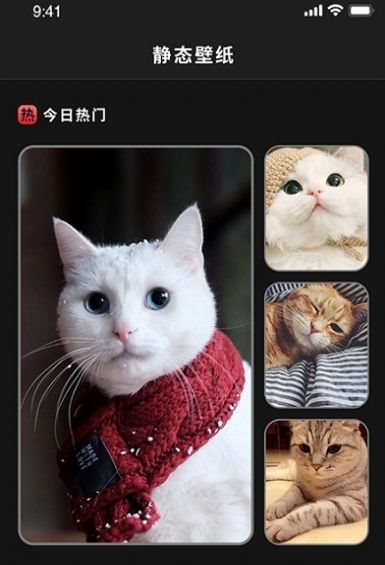 魔盟网