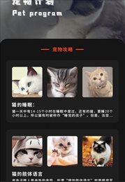 喵喵之家