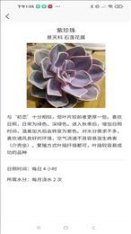 嘟嘟多肉植物鉴