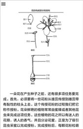 野外植物识别手册