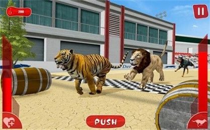 狮子赛跑3D(Lion Race 3d)